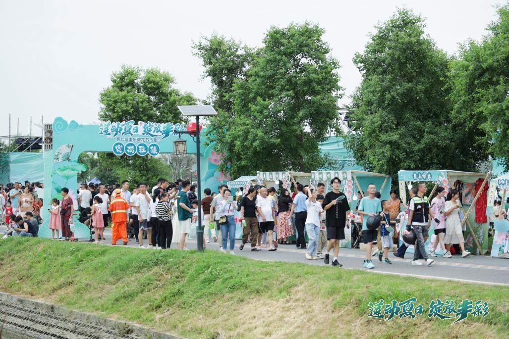 莲动夏日，绽放丰彩 第七届丰乐荷花节盛大启幕