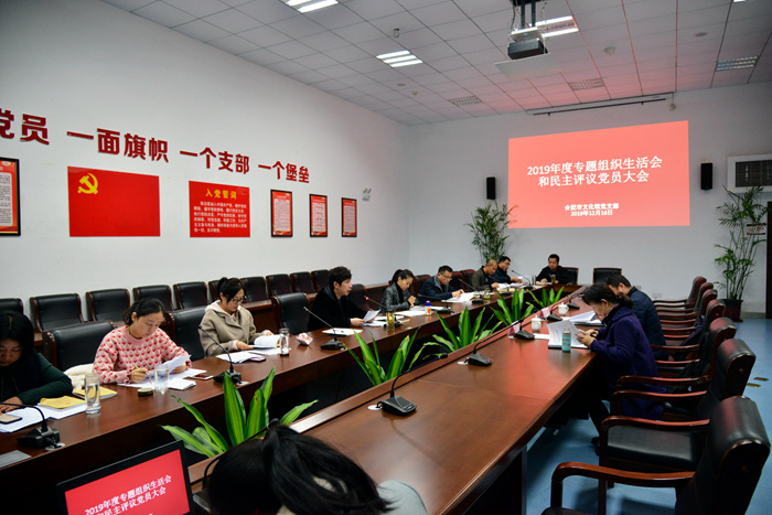 陈江丽出席指导合肥市文化党支部2019年度专题组织生活会