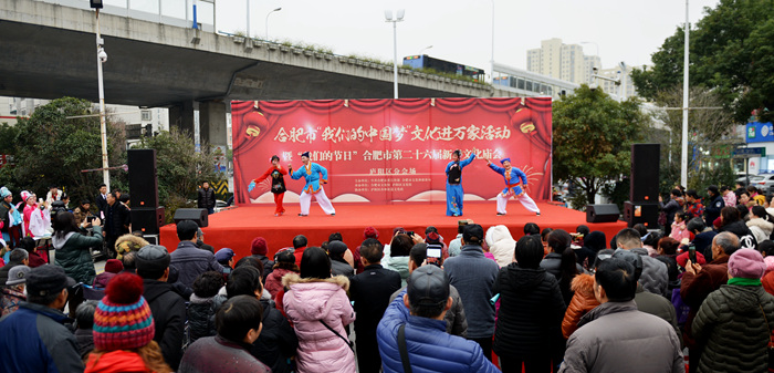 新春文化庙会上演庐阳区分会场