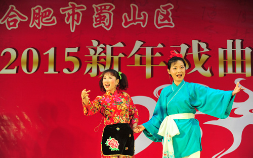 合肥市蜀山区2015新年戏曲演唱会圆满落下帷幕