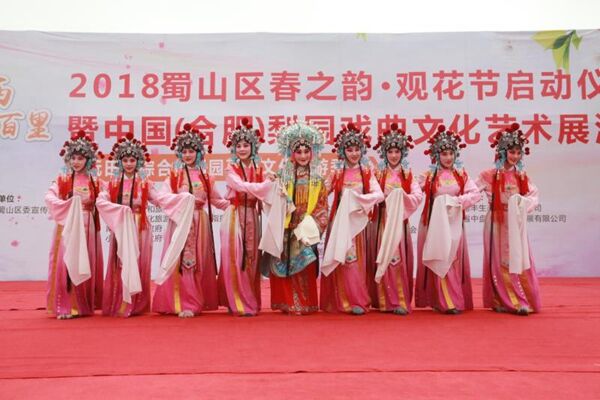 中国（合肥）梨园戏曲文化艺术展演活动在蜀山举办